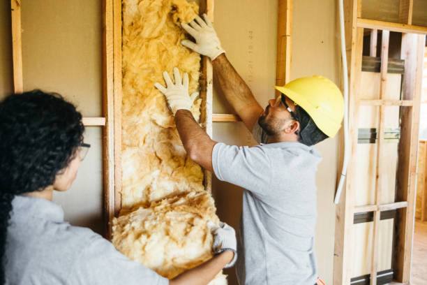 Types of Insulation We Offer in Skidaway Island, GA